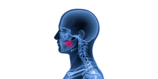 Orofacial 1